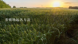 养殖场起名方法