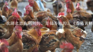 我湖北恩施利川的，是搞养殖的，《养殖黄鳝，泥鳅》明年还想扩大养殖规模！我只是个农民，也没有什么抵押