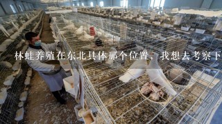 林蛙养殖在东北具体那个位置，我想去考察下？