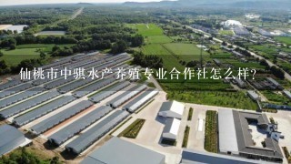 仙桃市中骐水产养殖专业合作社怎么样？