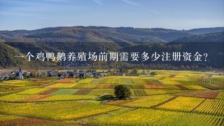 1个鸡鸭鹅养殖场前期需要多少注册资金？