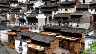 养蚕赚钱吗2020年养殖前景成本利润