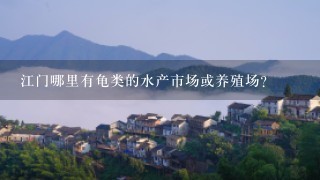 江门哪里有龟类的水产市场或养殖场?