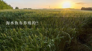 海水鱼有养殖的？