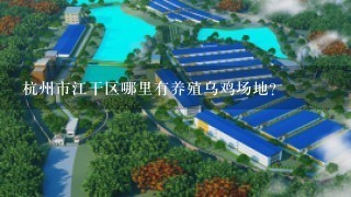 杭州市江干区哪里有养殖乌鸡场地?