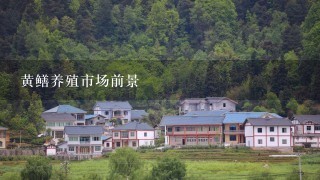 黄鳝养殖市场前景