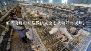 煎猪肉饼的家常做法大全怎么做好吃视频？