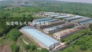 福建哪有火鸡养殖基地？