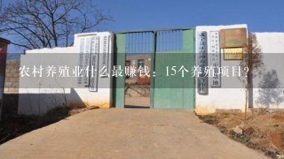 农村养殖业什么最赚钱：15个养殖项目？