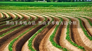 黑山羊养殖方法 黑山羊养殖方法介绍