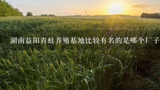 湖南益阳青蛙养殖基地比较有名的是哪个厂子？