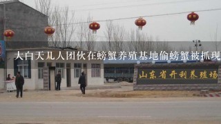 大白天几人团伙在螃蟹养殖基地偷螃蟹被抓现场报警后会怎样处理？