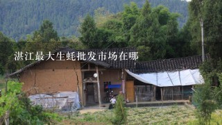 湛江最大生蚝批发市场在哪