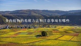 多肉植物的养殖方法和注意事项有哪些