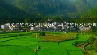 肉兔养殖成本与利润分析，附养殖技术和管理