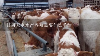 甘肃天水水产养殖需要什么手续