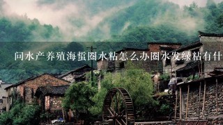 问水产养殖海蜇圈水粘怎么办圈水发绿粘有什么药可以改变正常水质药品