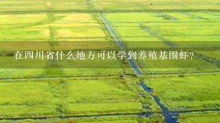 在4川省什么地方可以学到养殖基围虾？