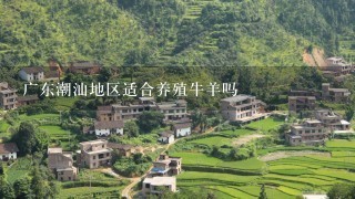 广东潮汕地区适合养殖牛羊吗