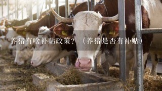 养猪有啥补贴政策？（养猪是否有补贴）