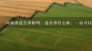 河南省适合养虾吗，适合养什么虾，1亩可以养多