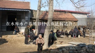 在水库水产养殖养什么鱼比较适合？