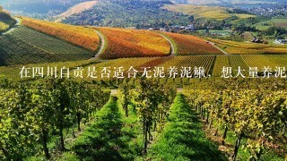 在4川自贡是否适合无泥养泥鳅，想大量养泥鳅有国家补贴没？农业局能咨询到养殖技术么？