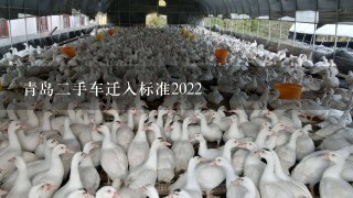 青岛2手车迁入标准2022