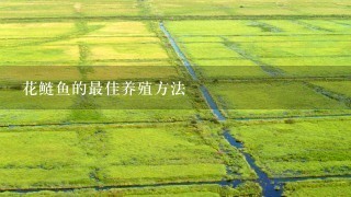 花鲢鱼的最佳养殖方法