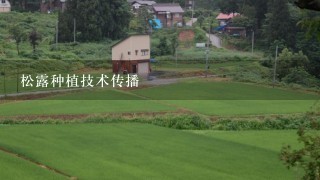 松露种植技术传播