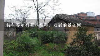 特种养殖有哪些品种，发展前景如何