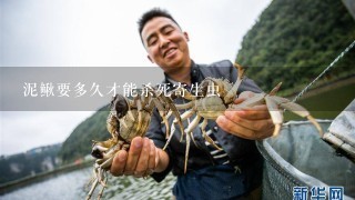 泥鳅要多久才能杀死寄生虫