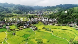 江西这边哪里有养殖小龙虾基地。