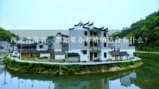 西北青海省1带如果办养殖场适合养什么？