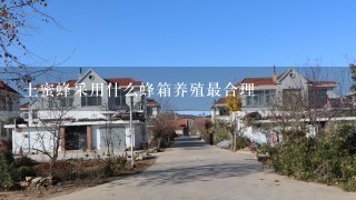 土蜜蜂采用什么蜂箱养殖最合理