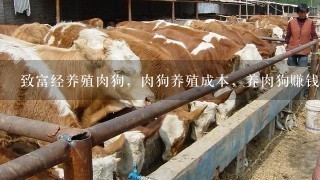 致富经养殖肉狗，肉狗养殖成本，养肉狗赚钱吗