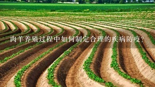 肉羊养殖过程中如何制定合理的疾病防疫？