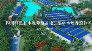 4川哪里有水蛭养殖基地？想学水蛭养殖技术。