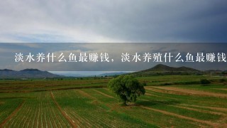 淡水养什么鱼最赚钱，淡水养殖什么鱼最赚钱