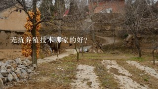 无抗养殖技术哪家的好？