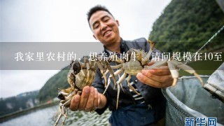 我家里农村的，想养殖肉牛，请问规模在10至15头肉牛需要多少资金，什么品种好，1年的利润在多少?跪