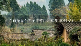 山东荷泽办个养羊养殖厂，初步100只左右，大概要投多少钱