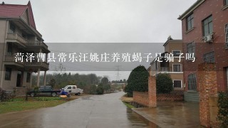 菏泽曹县常乐汪姚庄养殖蝎子是骗子吗