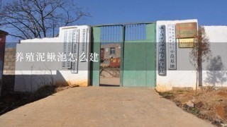 养殖泥鳅池怎么建