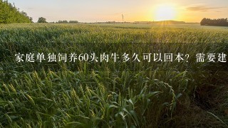 家庭单独饲养60头肉牛多久可以回本？需要建1个多大