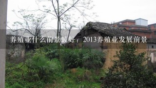 养殖业什么前景最好：2013养殖业发展前景