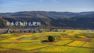 养水草加什么肥料