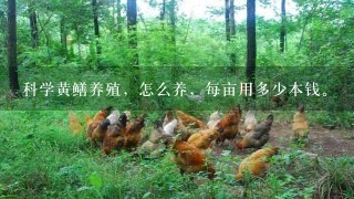 科学黄鳝养殖，怎么养，每亩用多少本钱。