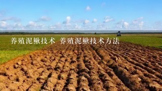 养殖泥鳅技术 养殖泥鳅技术方法