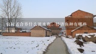 农村适合养什么淡水鱼，经济鱼种有哪些